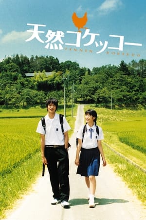 Poster 天然子结构 2007