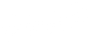 The Frog Prince