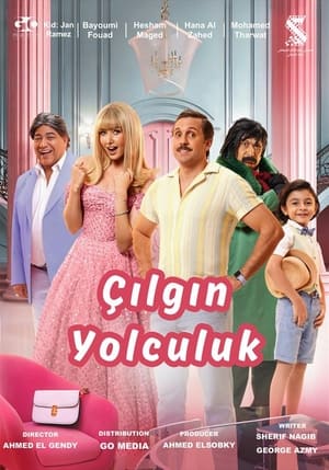 Image Çılgın Yolculuk