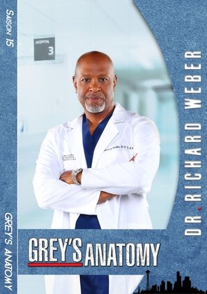 Grey’s Anatomy: Saison 15 Episode 23