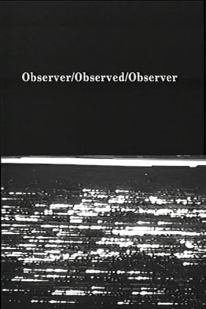 Observer / Observed / Observer