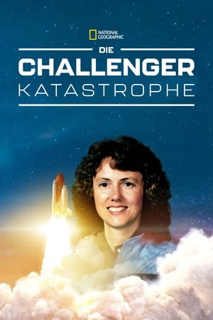 Image DIE Challenger-Katastrophe