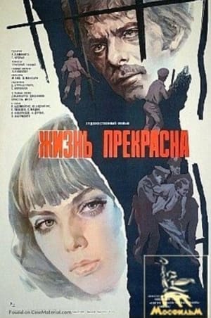 Poster Жизнь прекрасна 1979