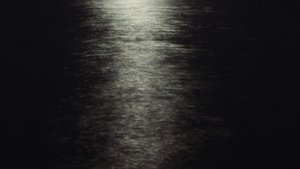 I HAVE NOT BEEN AFRAID OF GOING BLIND FOR A LONG TIME