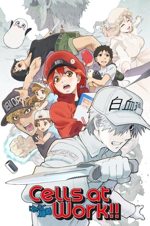 Cells at Work!: Season 2