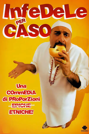 Poster Infedele per caso 2010