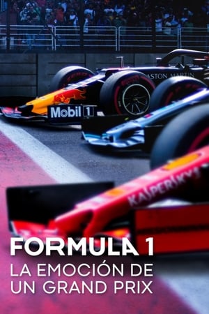 Image Fórmula 1: La emoción de un Grand Prix
