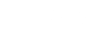 Martial Universe — Logos 4