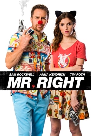 Poster Mr. Right 2016