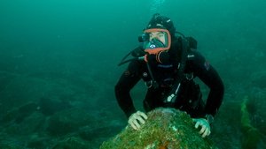 Playa de tiburones con Chris Hemsworth