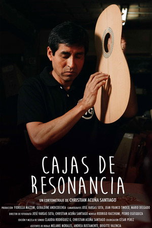 Cajas de resonancia