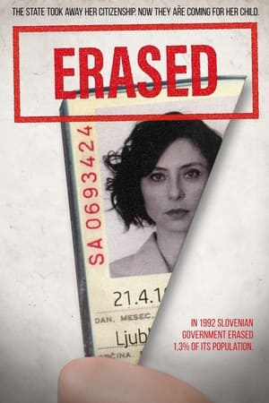 Poster Erased (2018)
