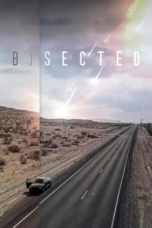 Bisected 2