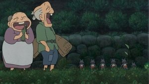 Le sumo coui-coui