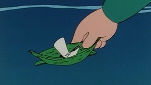 The Water Video