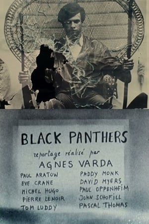 Poster Black Panthers 1968