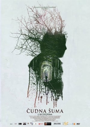Poster Strange Forest (2014)