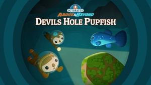 Octonauts: Above & Beyond The Octonauts and the Devil's Hole Pupfish