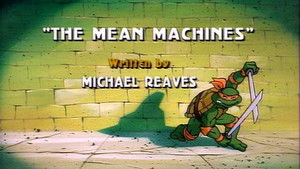 Teenage Mutant Ninja Turtles: 2×4