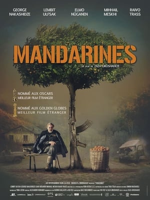Image Mandarines