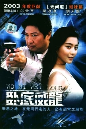 Poster 臥底威龍 2003