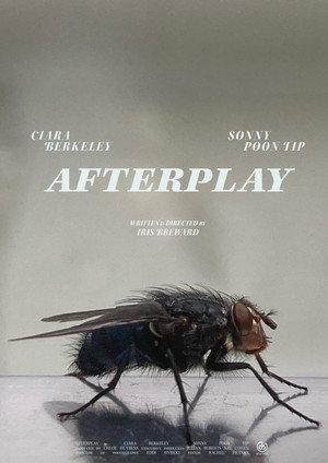 Afterplay 2