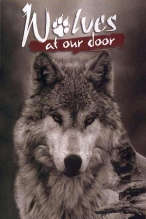 Image Wolves at Our Door