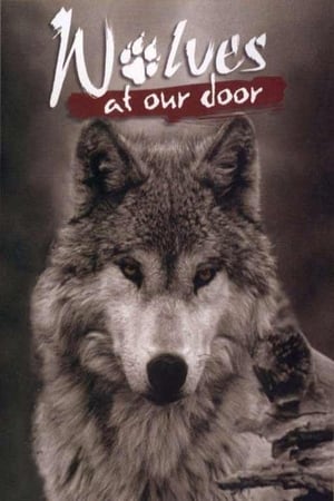 Wolves at Our Door