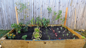 63dtklgr9zkxeit0wro062sjsrf