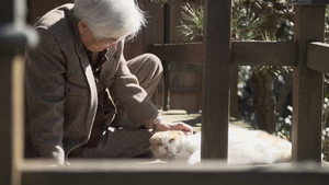 ネコメンタリー EP4