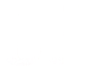 61*
