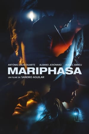 Poster Mariphasa 2017