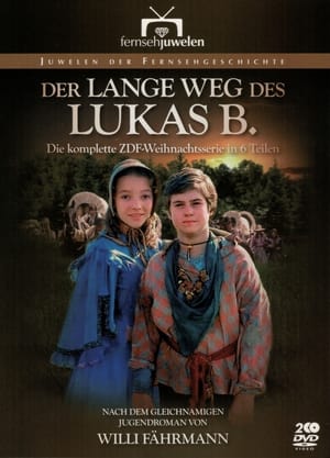 Image Der lange Weg des Lukas B.