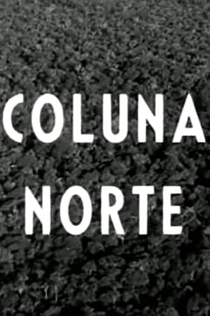 Image Coluna Norte