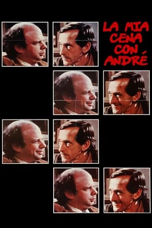Poster La mia cena con André 1981