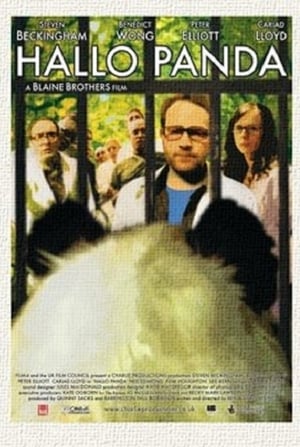 Poster Hallo Panda (2006)