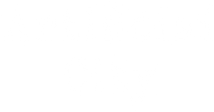 Artificial City