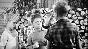 The Andy Griffith Show One-Punch Opie