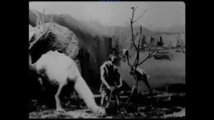 Prehistoric Poultry (1916)