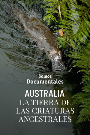 Australia: la tierra de las criaturas ancestrales