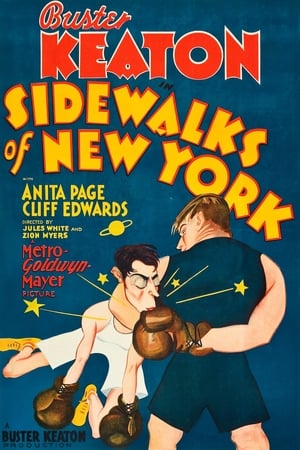 Poster di Sidewalks of New York