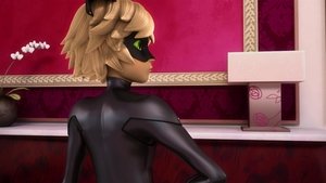 Episode 24