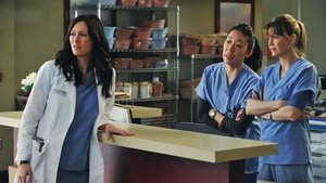 Grey’s Anatomy 7 x Episodio 14