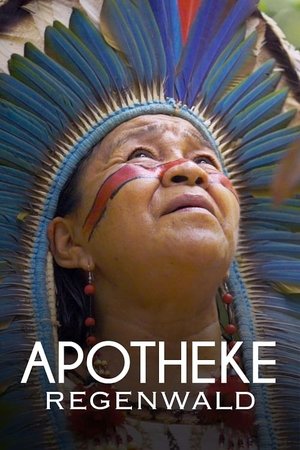 Poster Apotheke Regenwald 2024