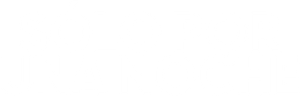 Logo de Sólo por una noche (2026) Latino