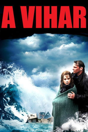 A vihar (2009)