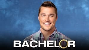 poster The Bachelor