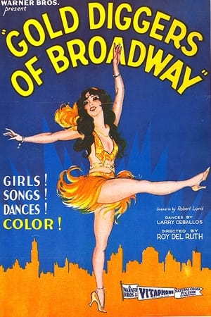 Gold Diggers of Broadway poster