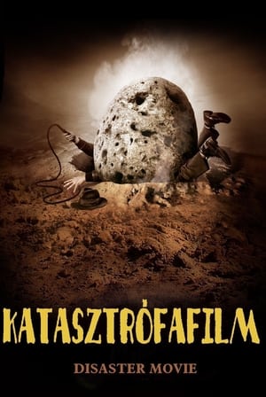 Poster Katasztrófafilm 2008
