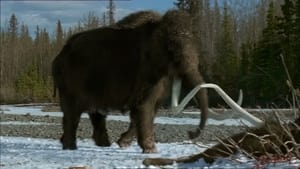 A Mammoth Undertaking